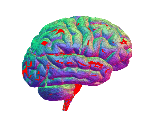 thinking brain giphy.gif