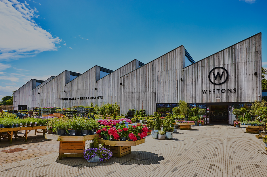 Untitled design (19).png