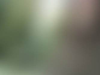 xiv a summer’s night in england somewhere