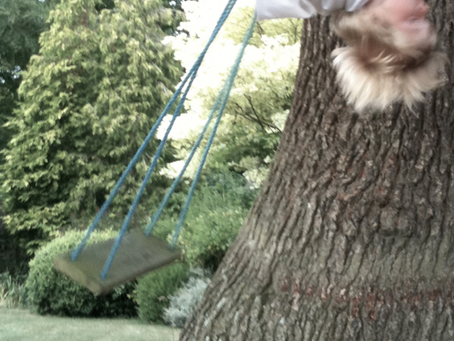 xiv a summer’s night in england somewhere