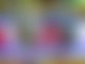 “mas da próxima vez que eu for a Brasília eu trago uma flor do cerrado pra voce” Caetano