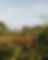 DSCF1421.jpg