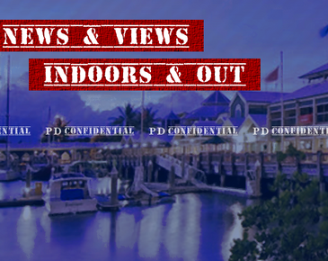 PD Confidential banner