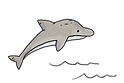 Dolphin.png