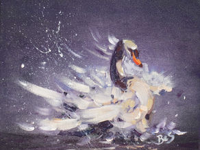 A Tale of Two Swans - Splashdance