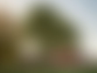 Scan blir huvudpartner till Svenska Kocklandslagen