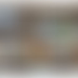 第1回ジュニアクラブ~フランス編~