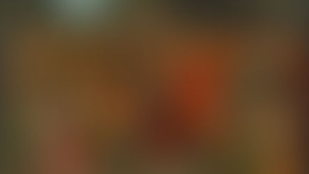 Our Children and the Liturgy