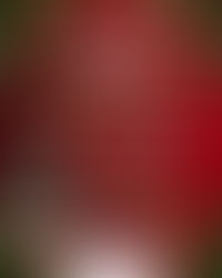 Secretaria de Turismo promove Concurso de Decoração Natalina