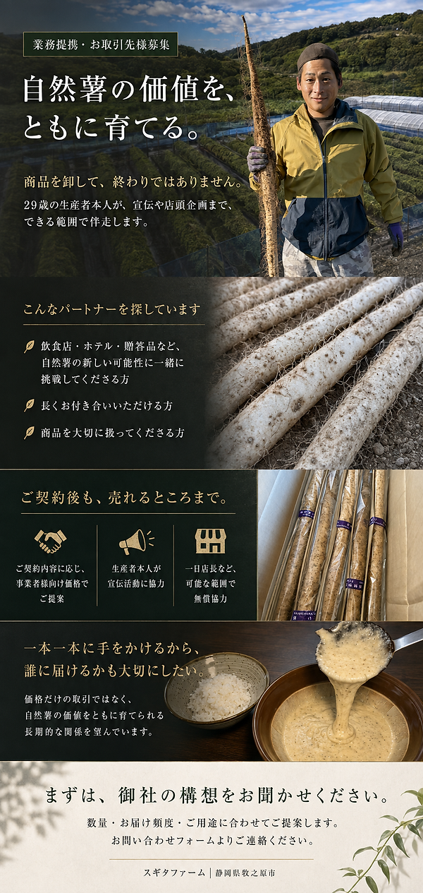 ChatGPT Image 2026年8月12日 17_18_14.png