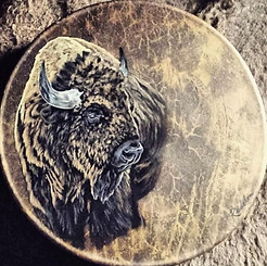 Tambor chamánico bisonte.jpg