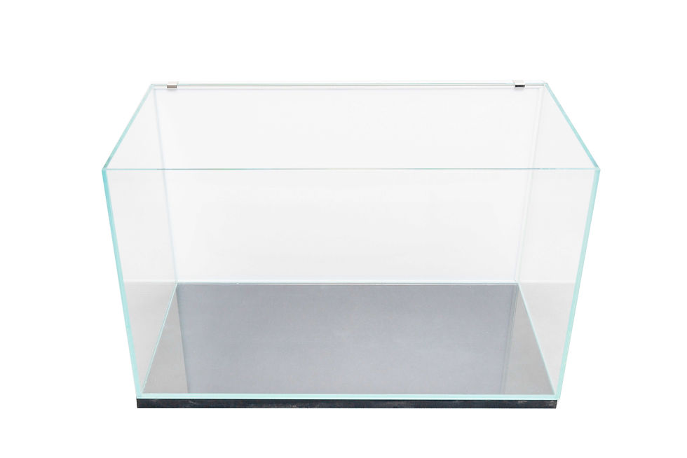 Miniaturbild: Lightground