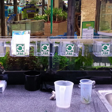 Miniaturbild: JBL Fischfangbecher