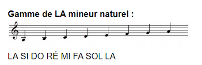 Capture d’écran 2024-07-17 185136.png
