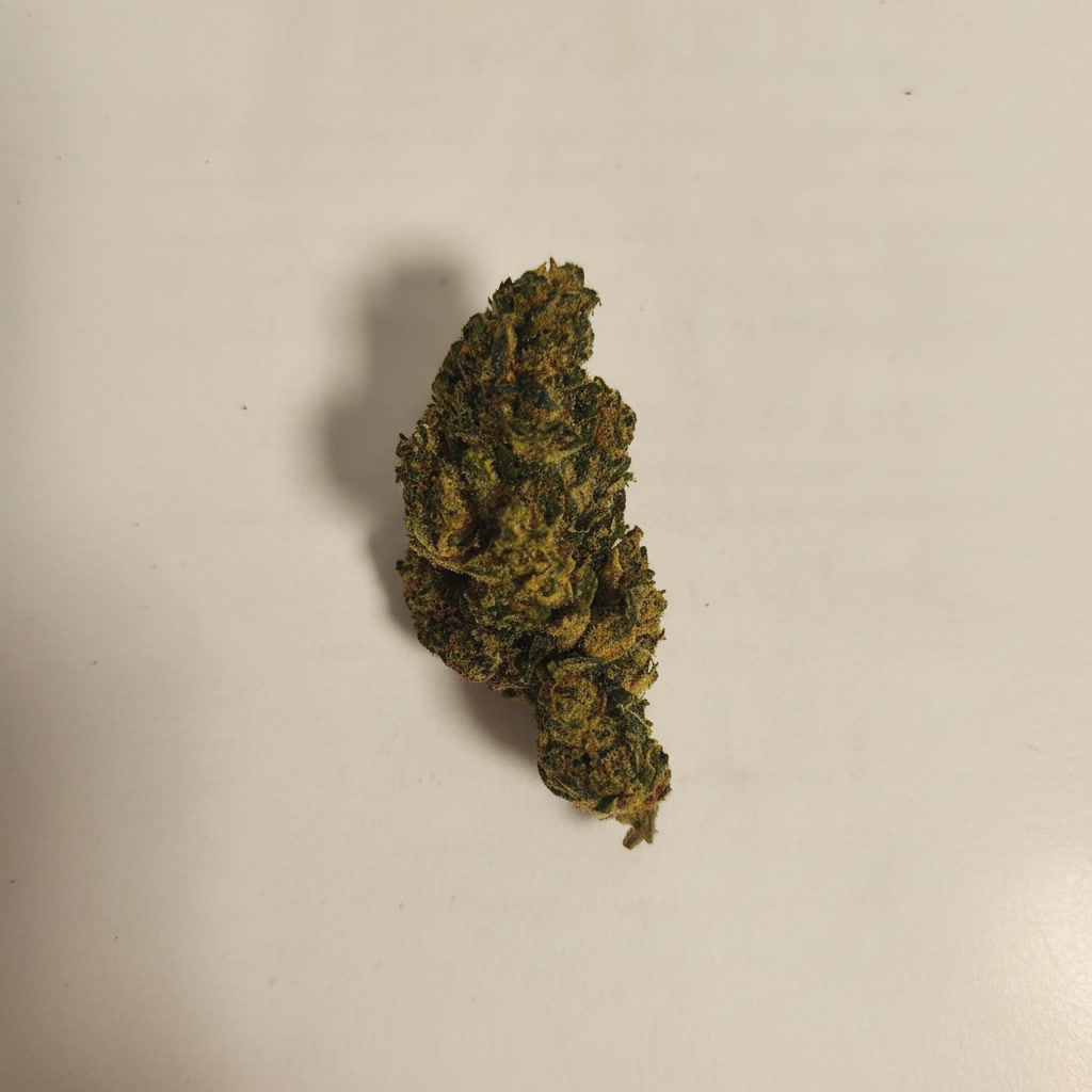 Fleur Plutonium B10 FrenchCBD