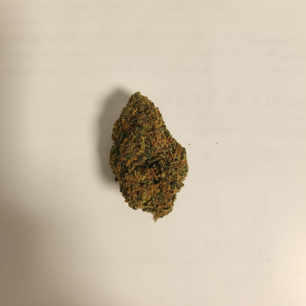 Fleur Blueberry THCV FrenchCBD