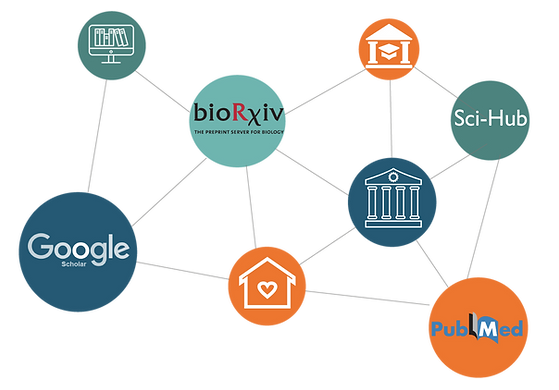 Web of Scholarly Discovery Platforms
