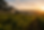 3Vin_autour_.png
