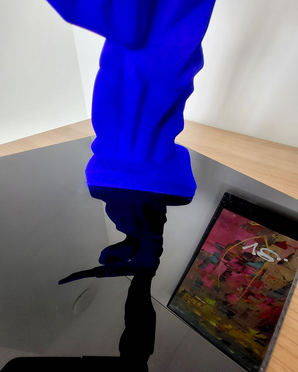 Miniature : Maxime DAVOUST - "Victoire Bleu pigmenté"