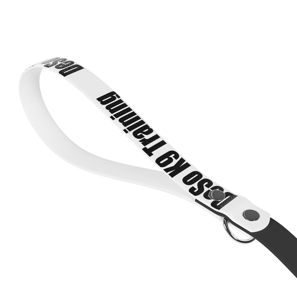 Thumbnail: Dog Leash