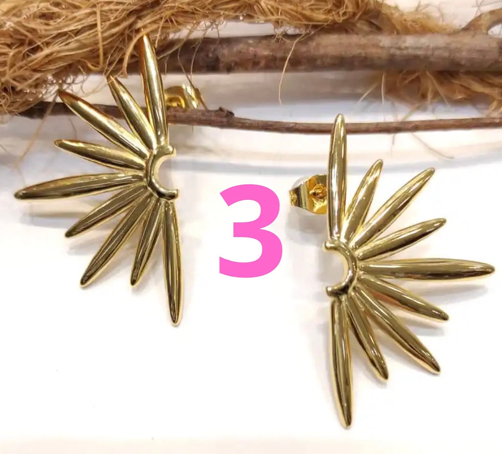 Miniature : B.oreilles ACIER INOXYDABLE 