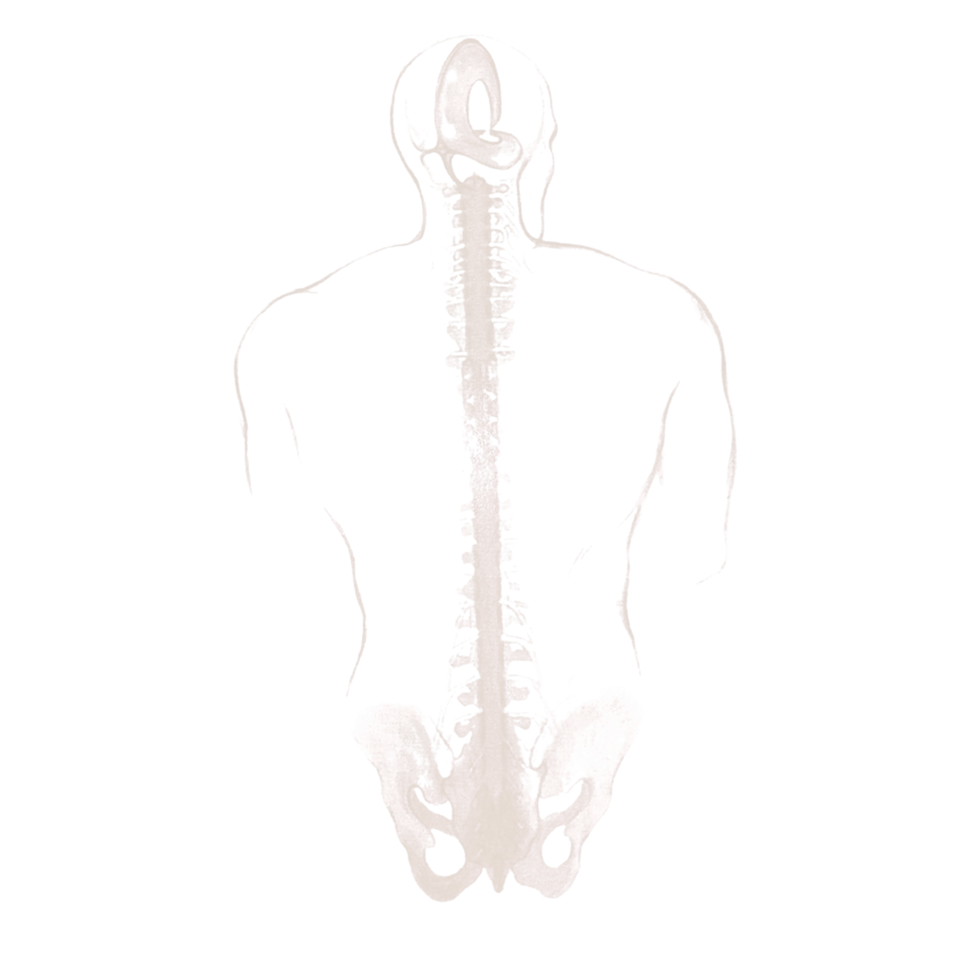 Santé - craniosacrale - Stéphanie Crelier