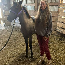 Blue Roan
