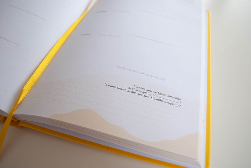 Authenticity Notebook