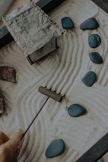 pexels-roman-odintsov-8180624.jpg