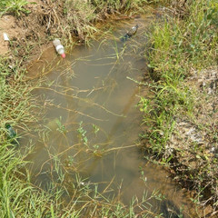 IMG-20190731-WA0004_1565158440912