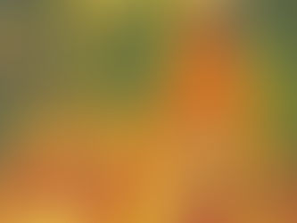 TURISTA EN MI TIERRA: EL POPO Y EL TORSO DESNUDO DE LAS MUJERES DEL SUR DE VERACRUZ