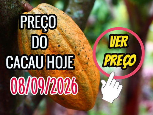 COTAÇÃO DO CACAU HOJE 
