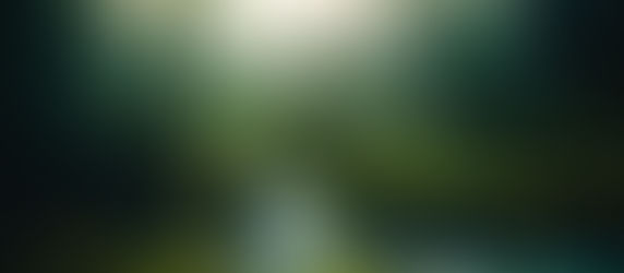 A Magia das Florestas e Rios em Movimento