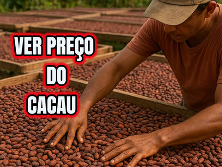 VER PREÇO DO CACAU