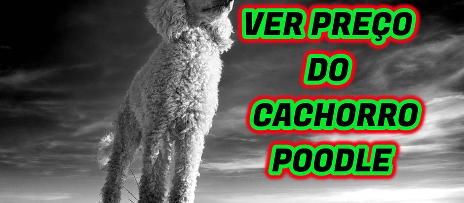 preço do cachorro poodle