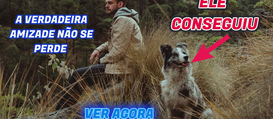 O CACHORRO QUE VIAJOU 50 KM