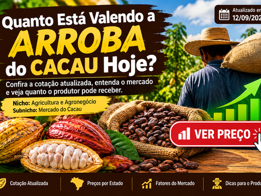 quanto está valendo a arroba do cacau hoje