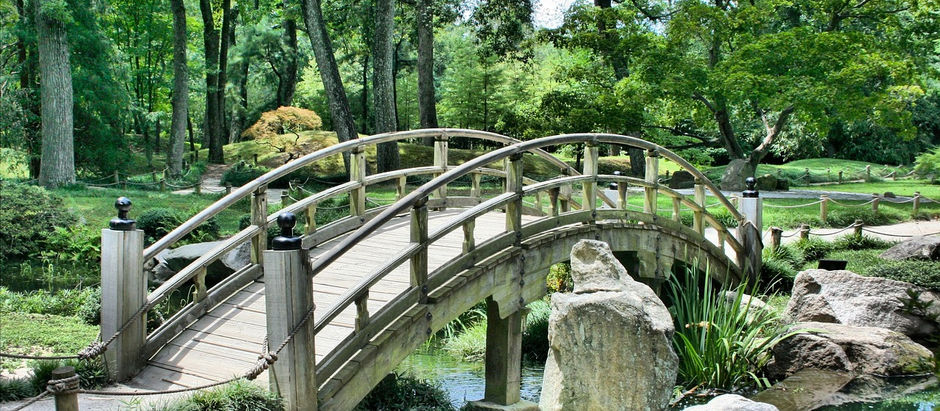 Por que o Som da Natureza nos Toca Tanto