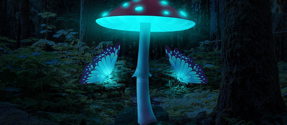 Como Atrair Borboletas para Seu Jardim