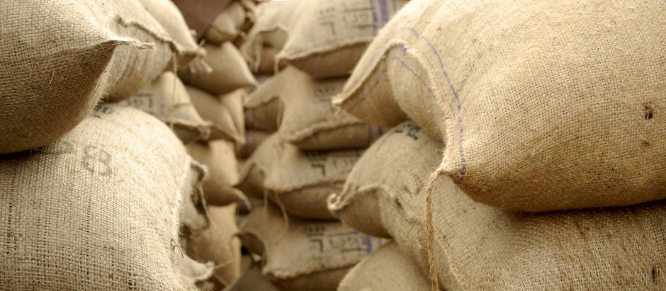 Preço do Cacau Hoje