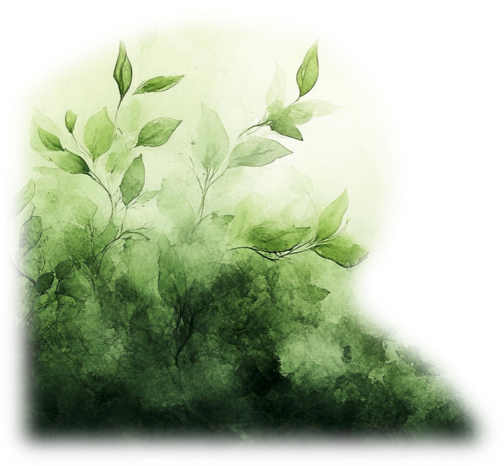 green2.png