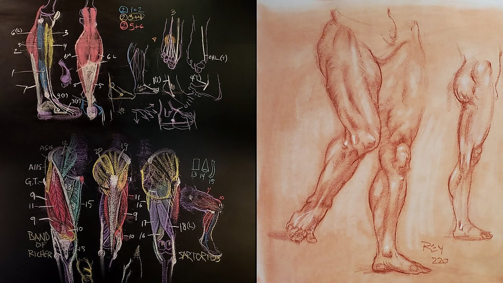 Anatomy - the study of structure of the human body.