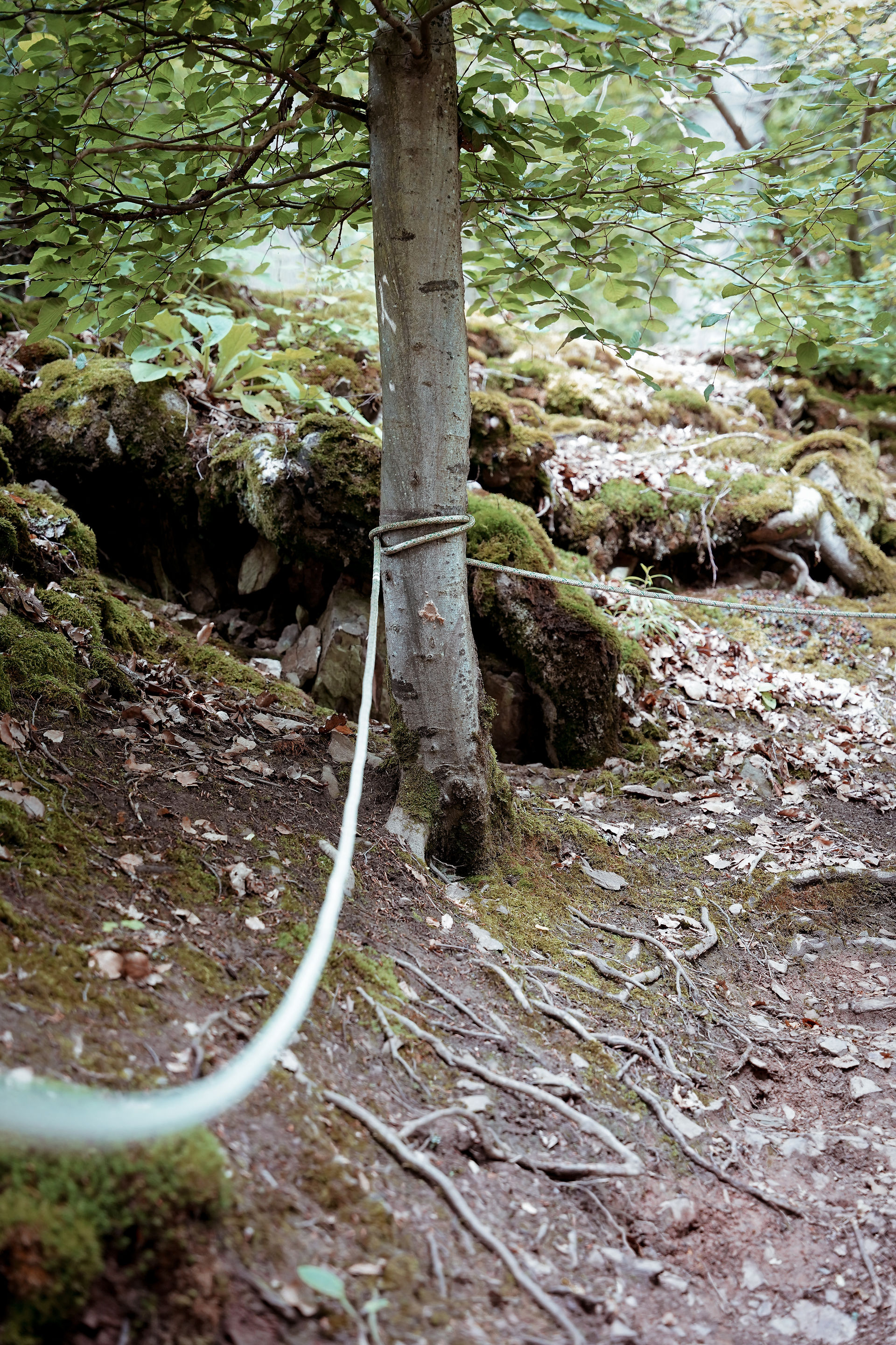 Seil zum festhalten 