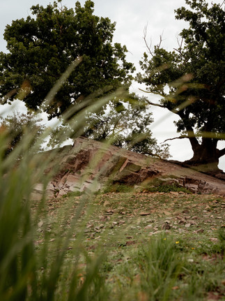 Ehemaliger Burgberg – heutige Liebesinsel im Edersee