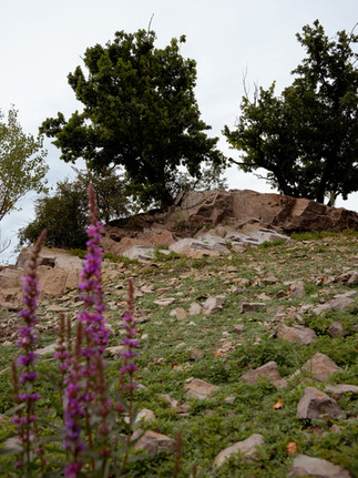 Überreste von Alt-Bringhausen im Edersee