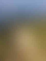 Blick mit Drohne auf Funkturm und Meer