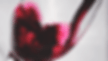 Wine Tasting