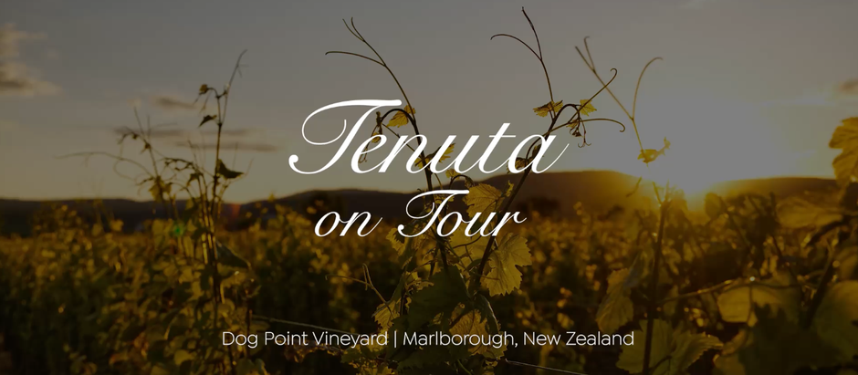 Tenuta Il Finale on Tour – Abschied von Neuseeland