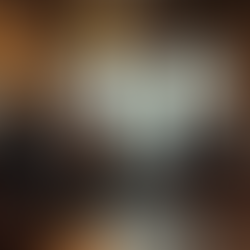 The Art of Effective Communication in Everyday Life