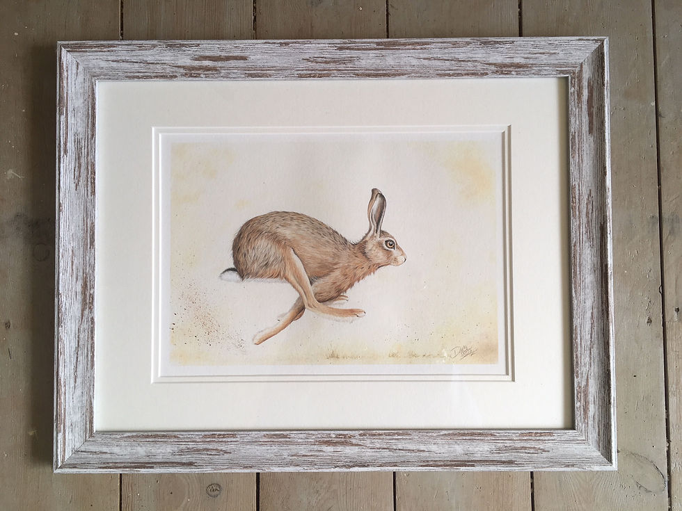 Hartley Hare framed limited edition print